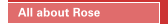 All about Rose